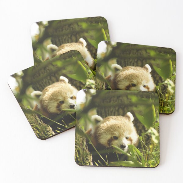Item preview, red panda designed and sold by Gleeksily36.
