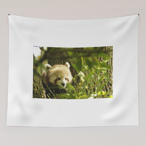 Item preview, red panda designed and sold by Gleeksily36.