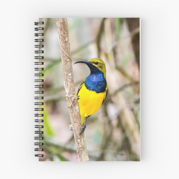 Item preview, Olive-backed Sunbird designed and sold by John Donkin.
