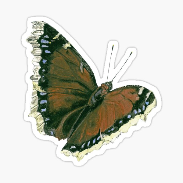 Item preview, Watercolor butterfly  designed and sold by DetailArtist.