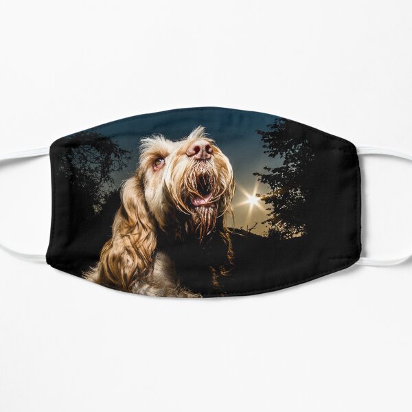 Stargazing Spinone Flat Mask