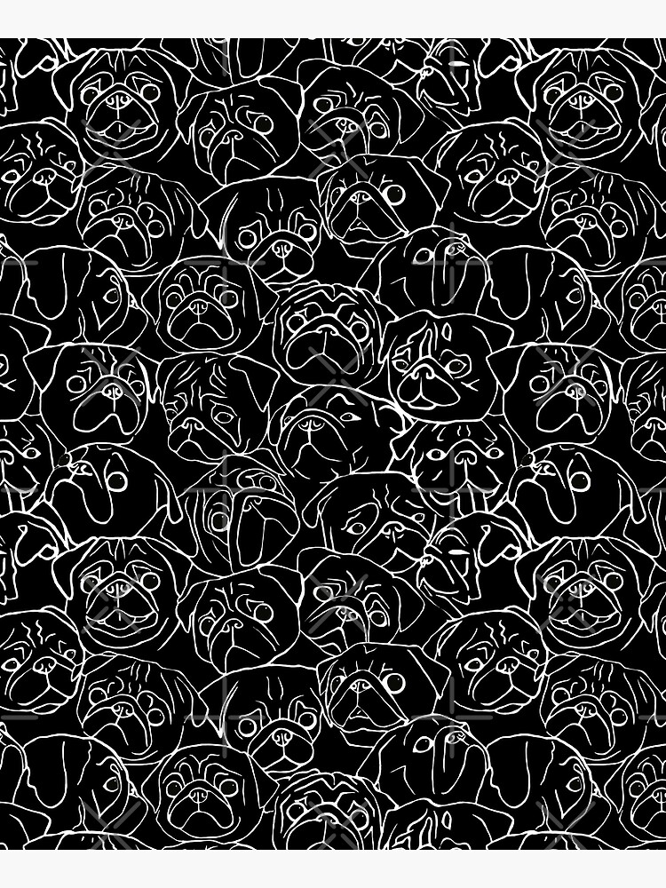 Black Pugs by amymh