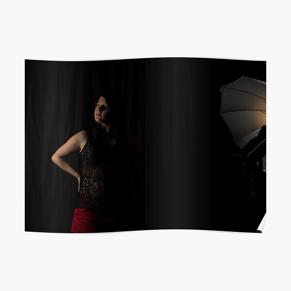 Waiting in the shadows Poster