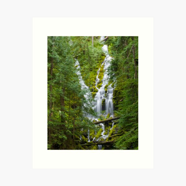 Item preview, Upper Proxy Falls designed and sold by Daniel Arthur Brown Photography.