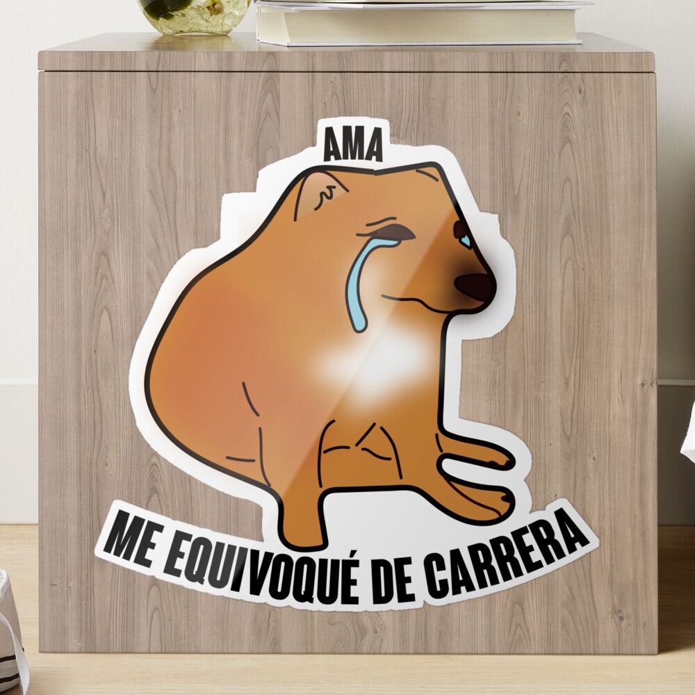 Loves me career meme