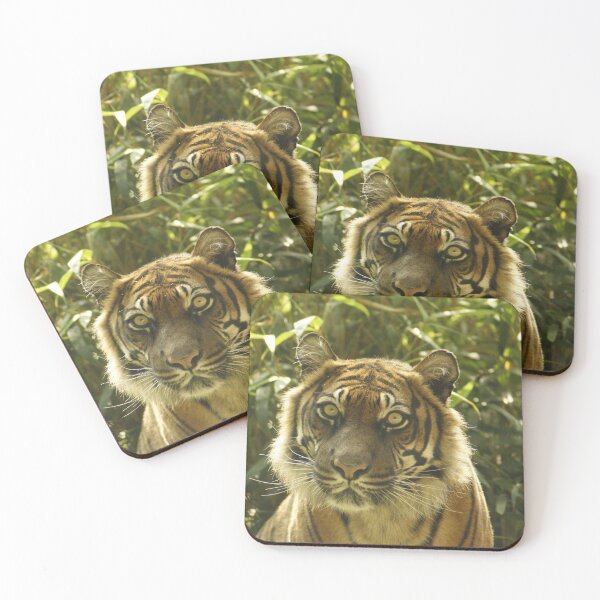 Item preview, tiger designed and sold by Gleeksily36.