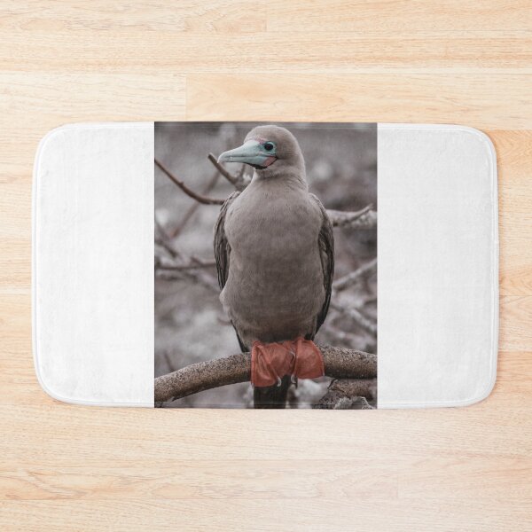 Item preview, Booby Bird designed and sold by kbracey-meraki.
