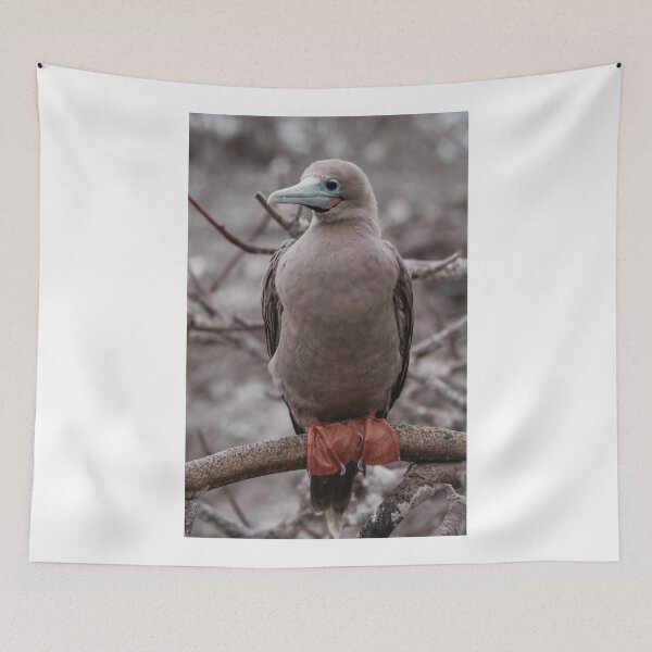 Item preview, Booby Bird designed and sold by kbracey-meraki.