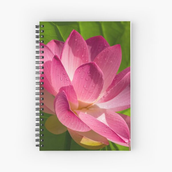 Item preview, Lotus Flower Raining Grace, Symbol Of Abundance, Good Fortune And Wealth  designed and sold by TJ Devadatta Best.