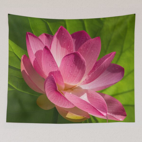 Item preview, Lotus Flower Raining Grace, Symbol Of Abundance, Good Fortune And Wealth  designed and sold by TJ Devadatta Best.