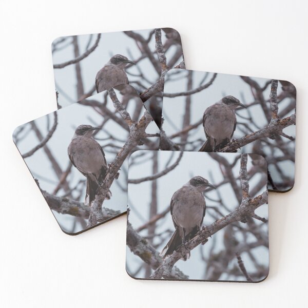 Item preview, Small Bird designed and sold by kbracey-meraki.