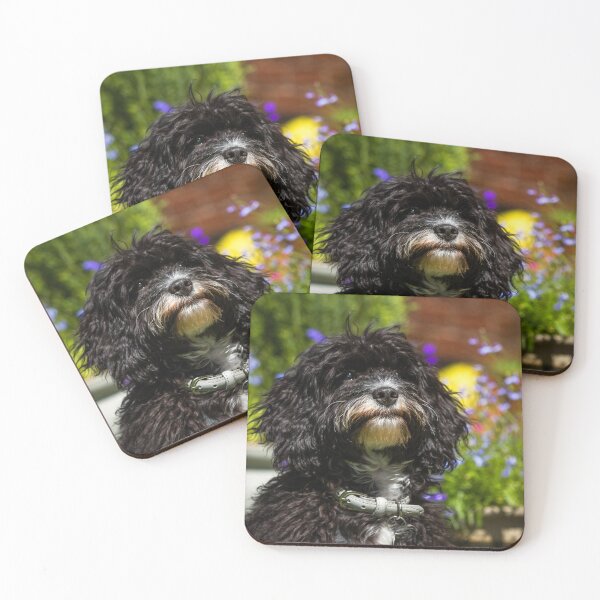 Item preview,  Black Cavapoo Puppy designed and sold by Jane Stanley Photography.