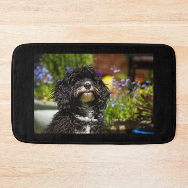 Item preview,  Black Cavapoo Puppy designed and sold by Jane Stanley Photography.