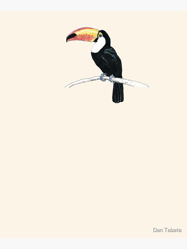 Toucan by dmtab