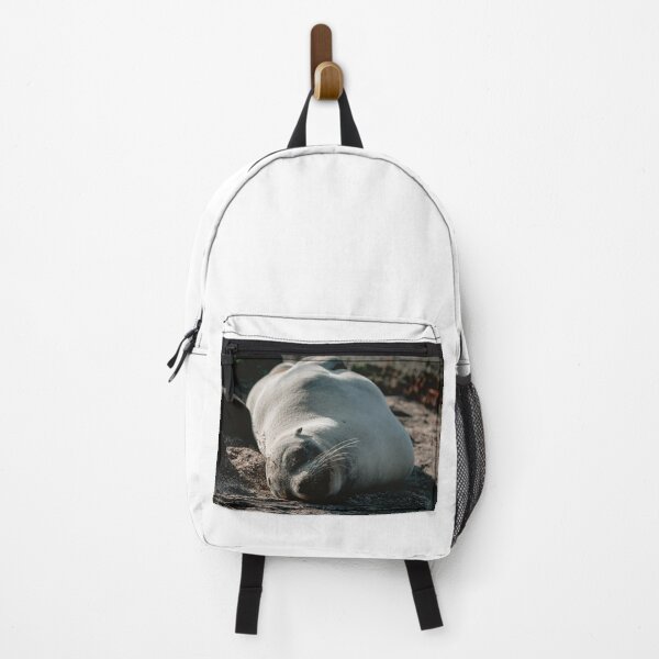 Item preview, Lazy Seal Photo designed and sold by kbracey-meraki.