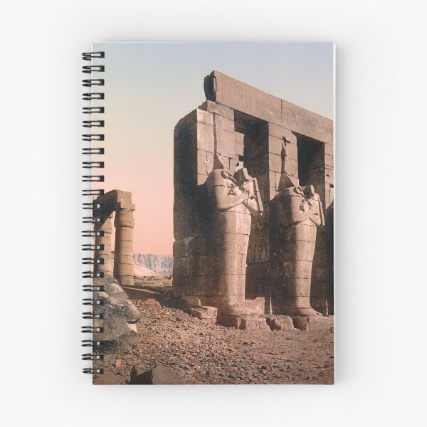 Item preview, Statues Osiris Et Les Colonnes Du Temple - Circa 1900 Photochrom designed and sold by warishellstore.