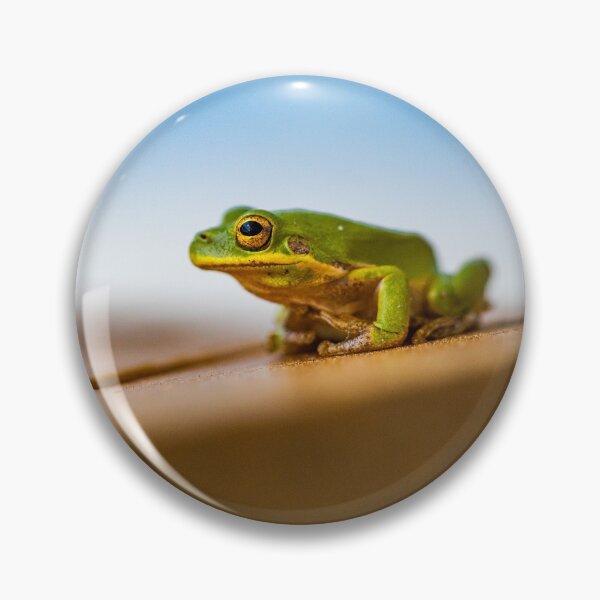 Item preview, Squirrel Treefrog designed and sold by KensLensDesigns.