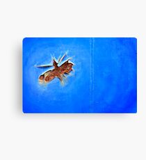 Firefly Canvas Print