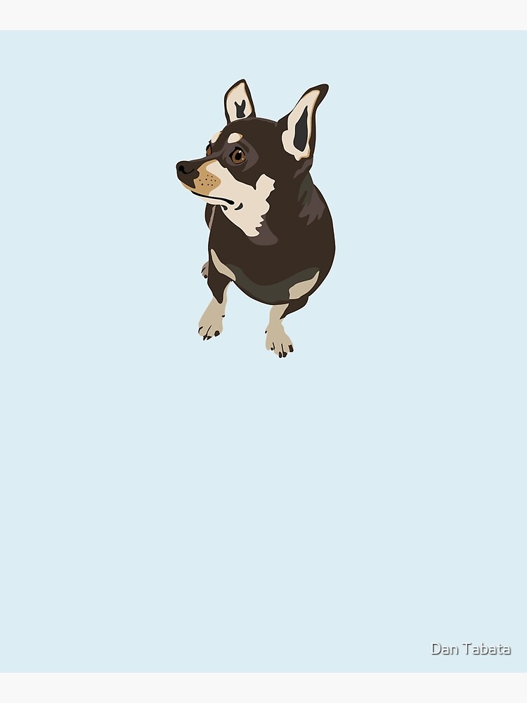 Hopeful Dog by dmtab