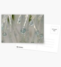 H20 Super Macro Postcards