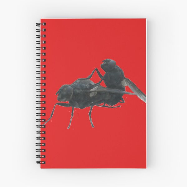 Item preview, making new flys designed and sold by Keanu Van lierop.