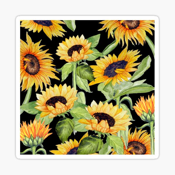 Sunflower watercolor floral on black Sticker