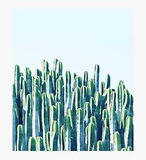 Cactus V2 #redbubble #home #lifestyle #buyart #decor Photographic Print