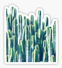 Cactus V2 #redbubble #home #lifestyle #buyart #decor Sticker