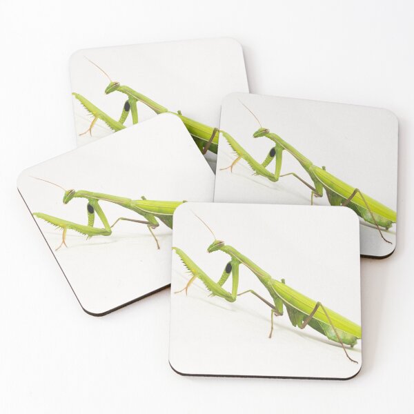 Item preview, green praying mantis insect designed and sold by Nikoleta Vukovic.
