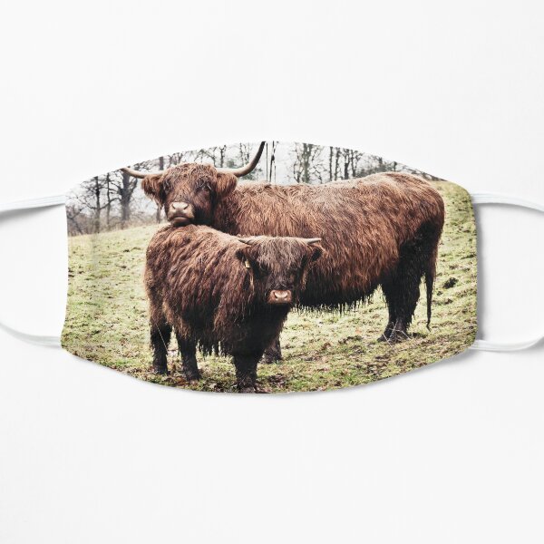 Highland Cows Mask