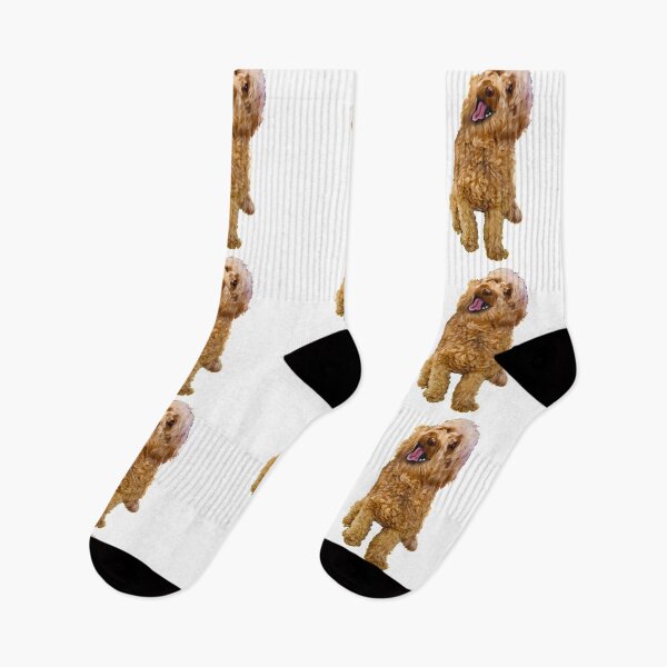 Item preview, Cavapoo kisses ! Cute Cavapoo Cavoodle puppy dog with open mouth and tongue out - cavalier king charles spaniel poodle, puppy love designed and sold by Artonmytee.