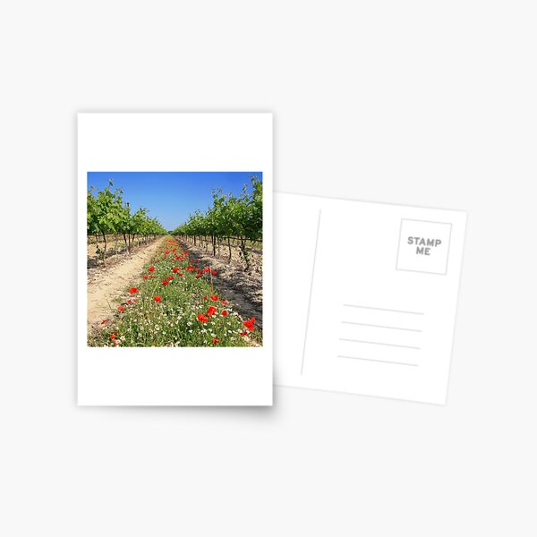 Item preview, Wine growing at spring time designed and sold by Chantal Seigneurgens.