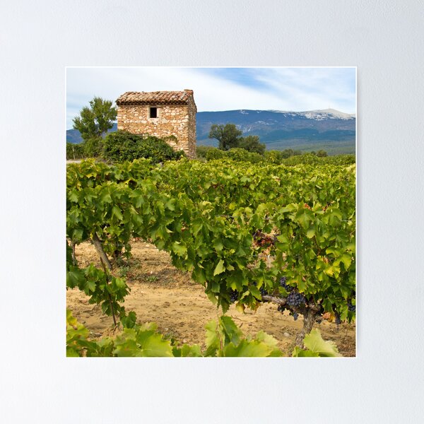 Item preview, Wine growing - Mont Ventoux designed and sold by Chantal Seigneurgens.