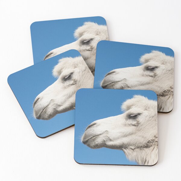 Item preview, white camel animal portrait designed and sold by Nikoleta Vukovic.