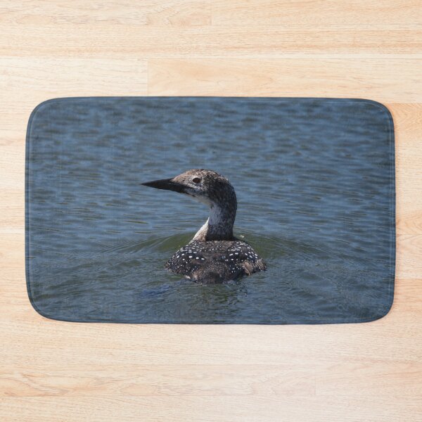 Item preview, Immature Nonbreeding Loon Coastal Waters designed and sold by ManiacMoose.