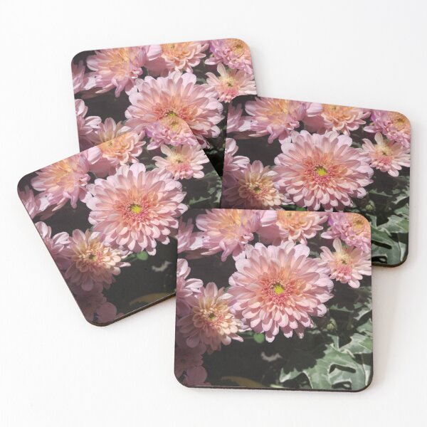 Item preview, Bloomed Pink Dahlia designed and sold by toddbrooney.