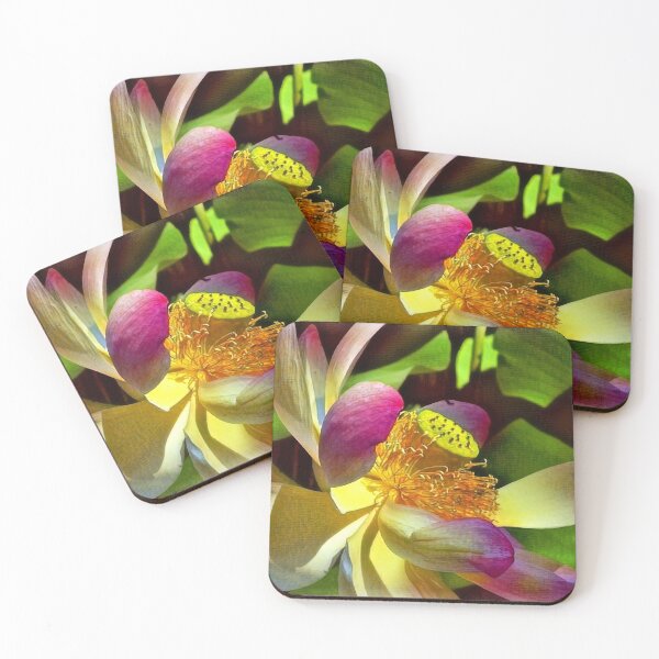 Item preview, Aquatic Lotus designed and sold by Ellen Cannon.