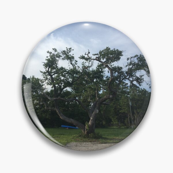 Item preview, Roble costero designed and sold by SavannahAddison.