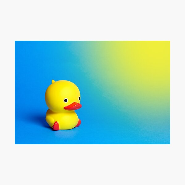yellow rubber duck toy