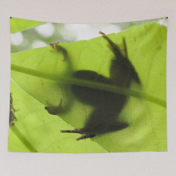 Item preview, Watercolor Frog, Cricket Frog 04, Eno River, North Carolina, Betcha Can't See Me... designed and sold by CarlsonImagery4.