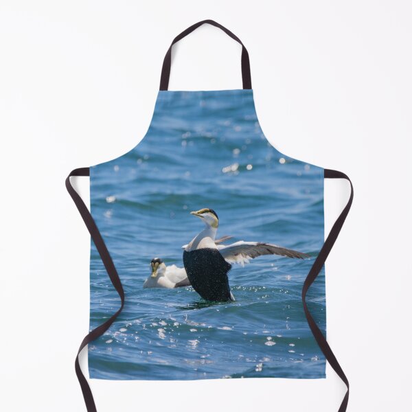 Item preview, Male Eider Duck Stretching His Wings designed and sold by ManiacMoose.