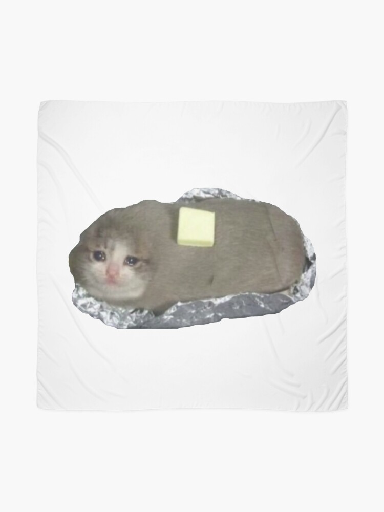 Sad sales butter cat