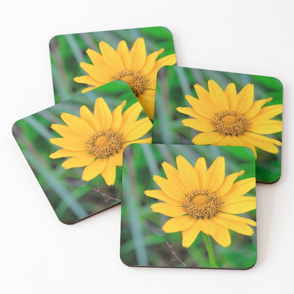 Item preview, Wildflower Morning 2 designed and sold by LynyrdSky.