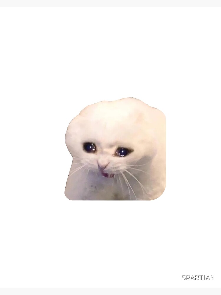 Sad Cat Meme Poster Ubicaciondepersonascdmxgobmx 2880