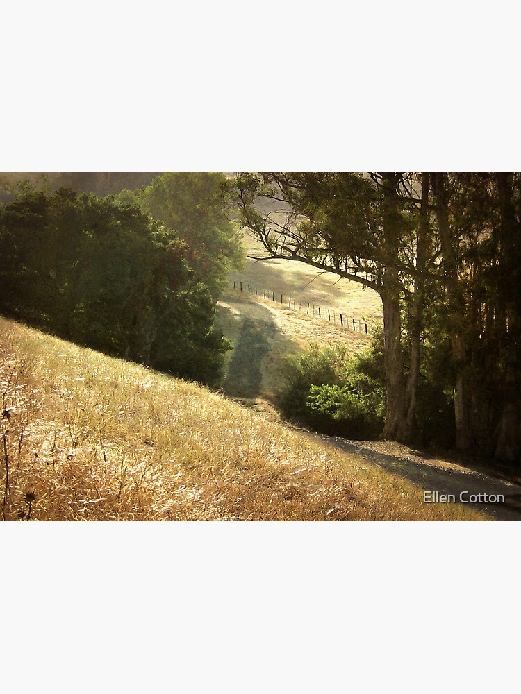 Along the Path by ellcot