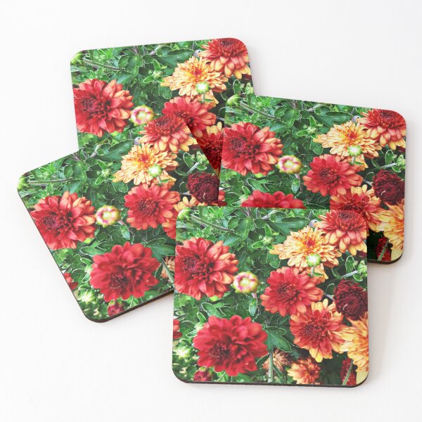 Item preview, miniature mums back yard designed and sold by dfwilliamson.