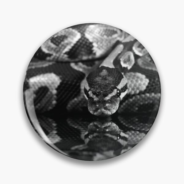 Aperçu de l'œuvre Reflets d'un ballon Python créée et vendue par FXST.