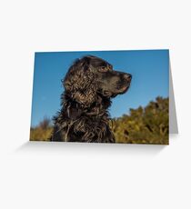 Animal, Dog, Cocker Spaniel, Black Greeting Card