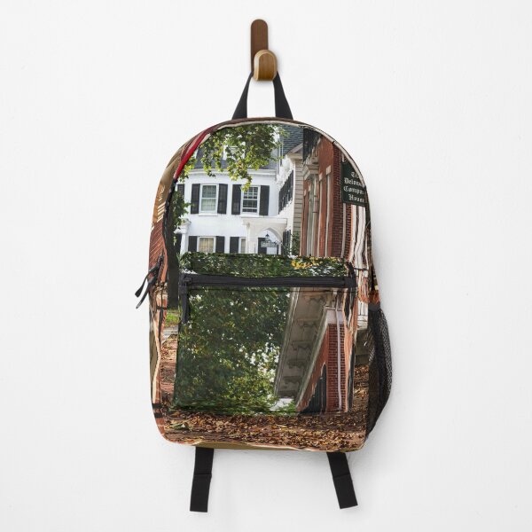 Item preview, Americana, the original designed and sold by ArtByBinny.
