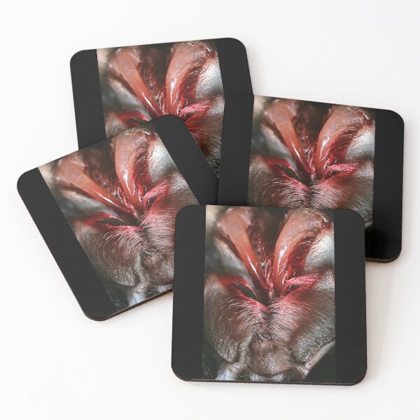 Item preview, Fang designed and sold by FXST.